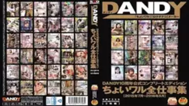 DANDY-502 DANDY 10th Anniversary Official Complete Edition Choiwaru All Work Collection
