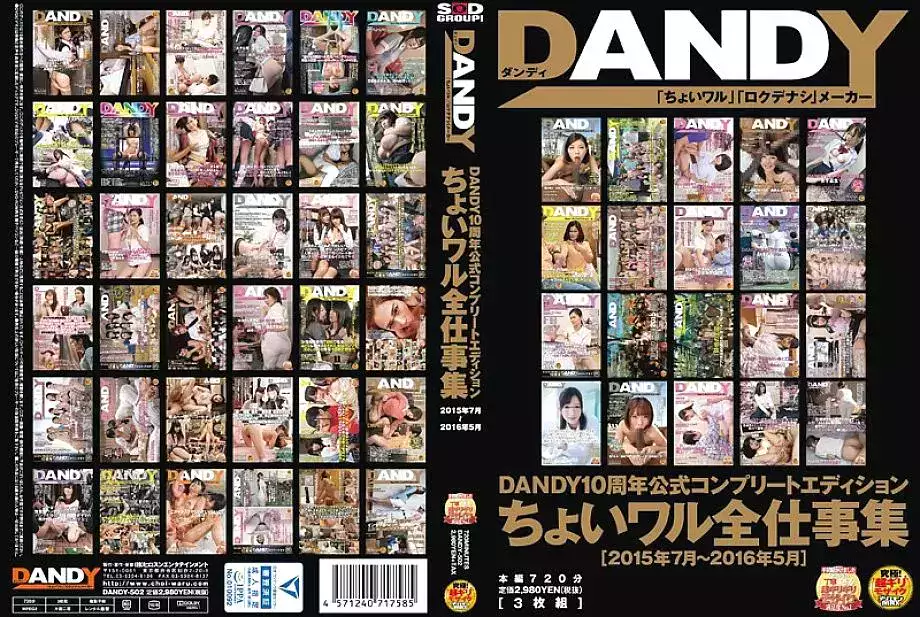 DANDY-502 DANDY 10th Anniversary Official Complete Edition Choiwaru All Work Collection