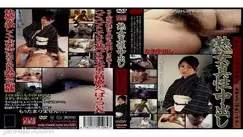 CELD-09 Mature Woman Intrinsic Creampie 9 - Natsuko Shimada