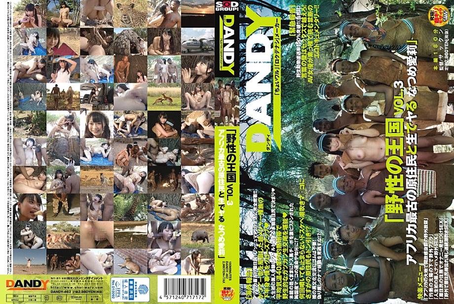 DANDY-462 "Wild Kingdom" VOL.3 Arina Sakita, the oldest indigenous people in Africa