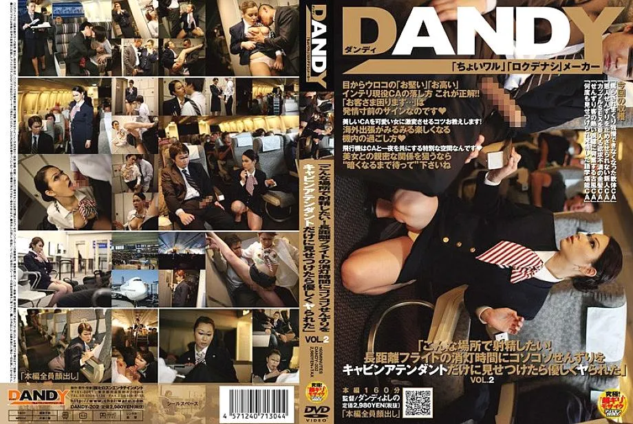 DANDY-202 "I Want To Ejaculate In A Place Like This! When I Showed Me A Sneak Peek At The Lights Out On A Long-distance Flight Only The Cabin Att
